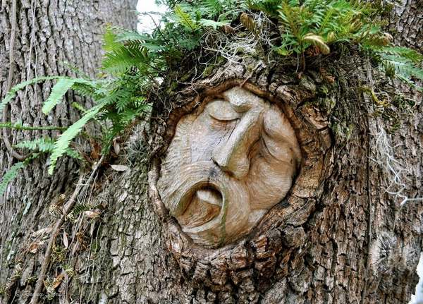 Les merveilleuses sculptures réalisées dans les troncs d'arbres abattus par les ouragans (PHOTO)