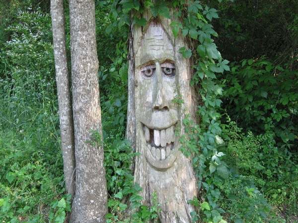 As maravilhosas esculturas feitas em troncos de árvores derrubadas por furacões (FOTO)