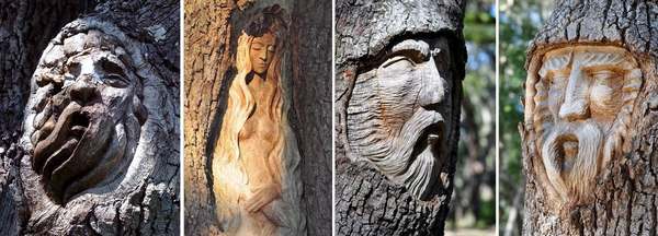 Las maravillosas esculturas hechas en los troncos de los árboles derribados por los huracanes (FOTO)