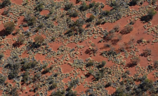 Misteriosos círculos de fadas também aparecem na Austrália (FOTO)