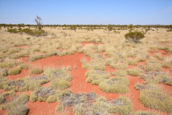 Misteriosos círculos de fadas também aparecem na Austrália (FOTO)