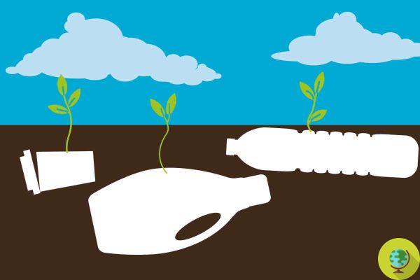 Bioplásticos: Cientistas desenvolvem uma maneira revolucionária de reciclar plástico à base de plantas em vez de deixá-lo apodrecer em aterros sanitários