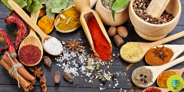 As spices and herbs they improve health and foods