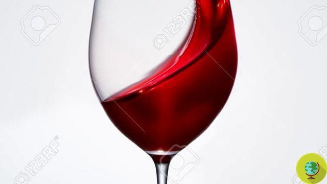 Red wine against stroke, diabetes and cancer thanks to resveratrol