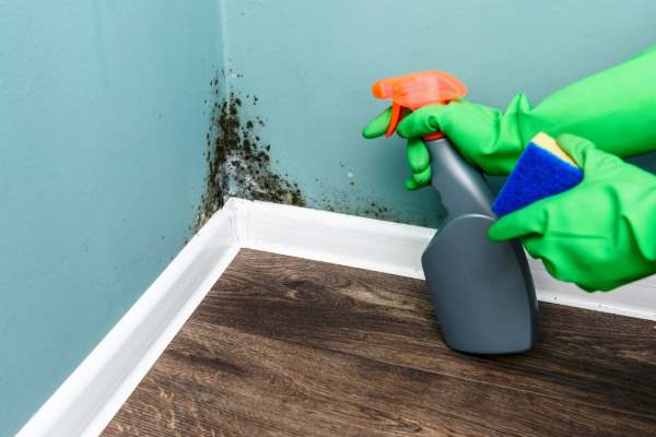 How to clean the walls of the house and remove stains from the walls