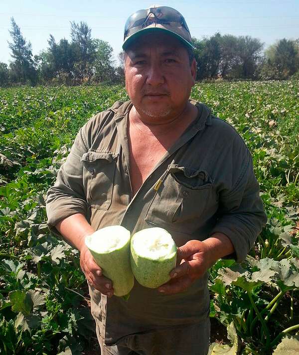 Los valientes agricultores sudamericanos que luchan contra el lobby de los transgénicos