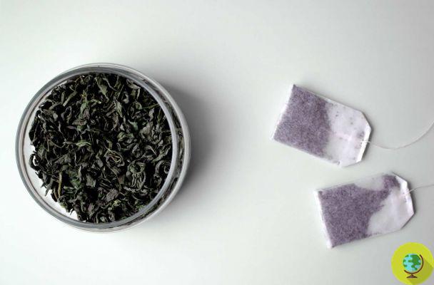 Don't throw away the green tea leaves after the brew! Tips and ideas to reuse them (both loose and in sachets)