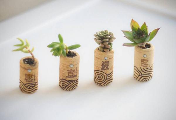 10 idées créatives pour décorer votre maison avec des plantes