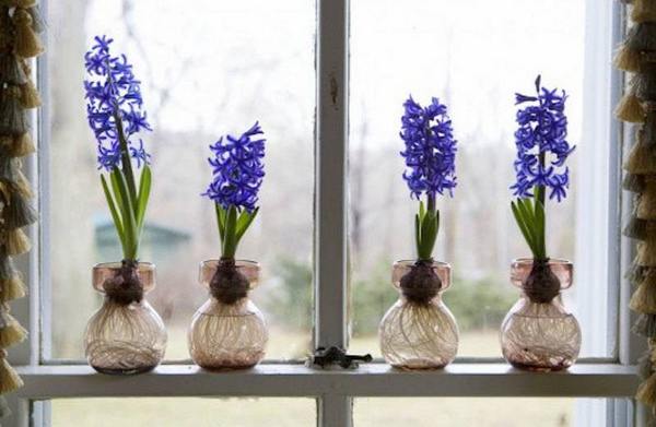 10 ideias criativas para decorar sua casa com plantas