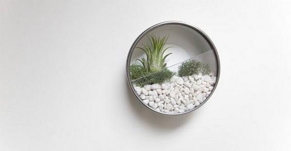10 ideias criativas para decorar sua casa com plantas