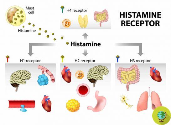 Histamine, not just tuna! Foods that contain more and can cause you allergy