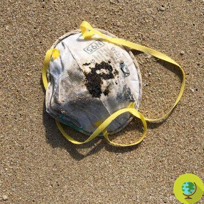 Máscaras de coronavírus piores que sacolas plásticas: o impacto no meio ambiente é devastador