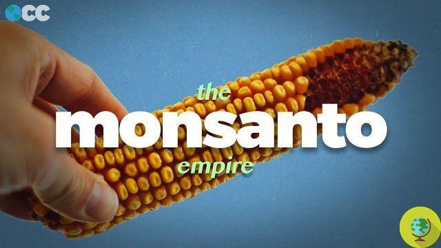 Monsanto irá a juicio por delitos contra el medio ambiente y la humanidad (VIDEO)