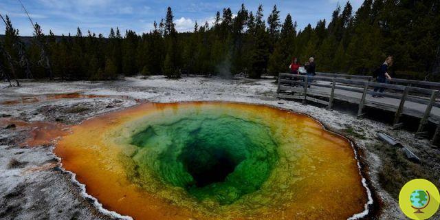 Yellowstone: o supervulcão pode acordar mais cedo do que o esperado