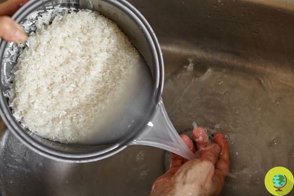 Eau de riz fermentée, utilisez-la ainsi sur cheveux bouclés pour les avoir toujours soyeux et brillants