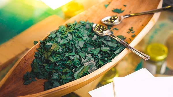 Spirulina algae: benefits and what happens to the body every day we take it