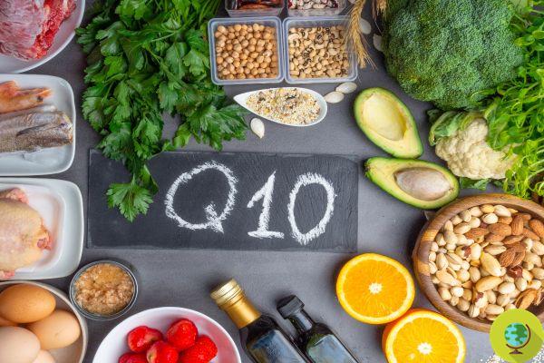 Coenzyme Q10: what it is, benefits, when you should take it and with what precautions