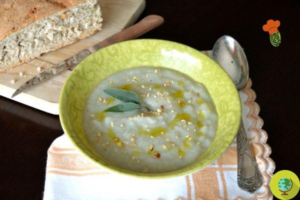 Cream of Jerusalem artichoke, light and detoxifying recipe