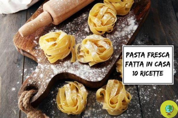 Fresh pasta: 10 recipes to make it at home (with and without eggs)
