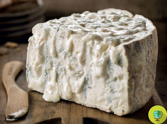 Food alert: Torta de Canarejal cheese for Listeria withdrawn