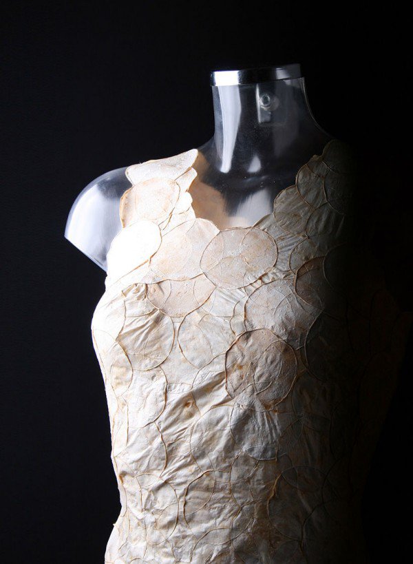 The biodegradable clothes obtained from the cultivation of mushrooms (PHOTO)
