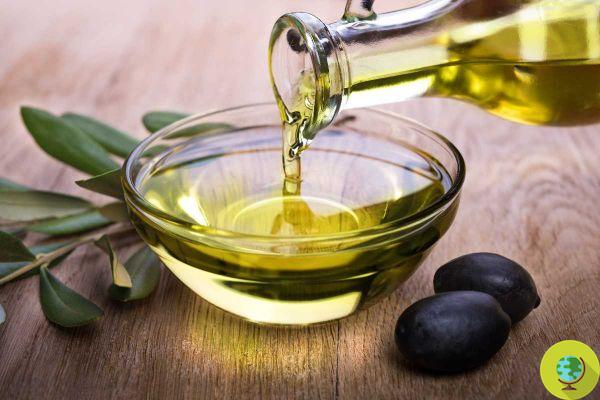 El aceite de oliva es mejor que la mantequilla y la margarina: reduce el riesgo de cáncer y problemas cardíacos, nuevo estudio