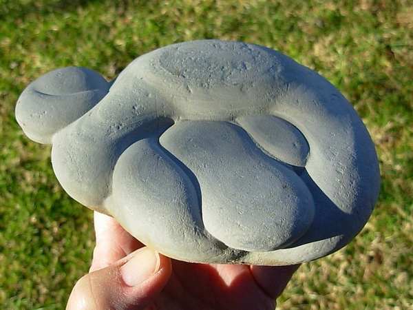 Fairy Stones: as extraordinárias pedras de fadas do Rio Harricana (FOTO)
