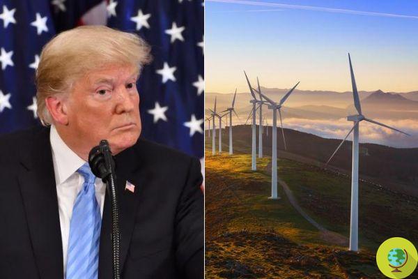 Donald Trump affirme que le vent cause le cancer