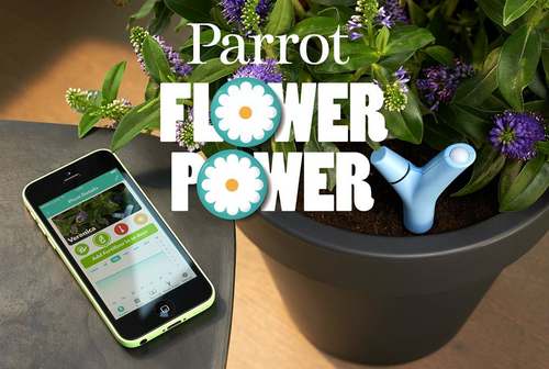 Parrot Flower Power : le capteur hi-tech pour mieux prendre soin des plantes
