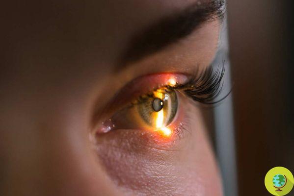 Un pequeño detalle en tu retina podría ser el signo inesperado de tu salud cerebral