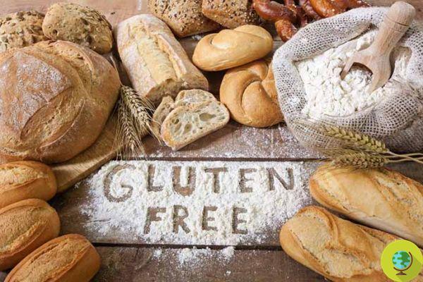 Dieta sin gluten: ¿beneficiosa o peligrosa para los que no son celíacos?