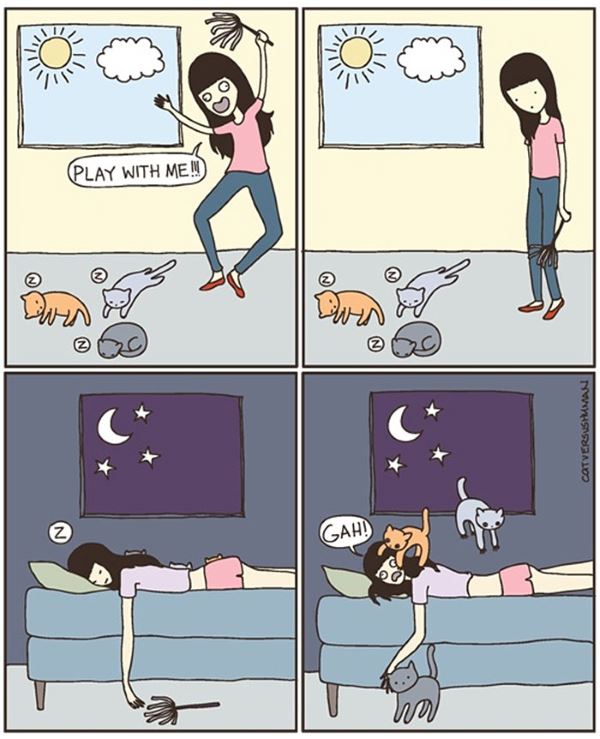 The funny illustrations that only those who have a cat can really understand