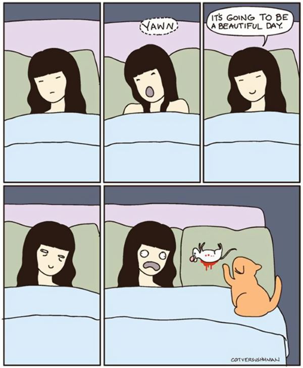 Las divertidas ilustraciones que solo los que tienen un gato pueden entender de verdad