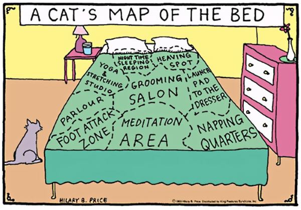 Les illustrations amusantes que seuls ceux qui ont un chat peuvent vraiment comprendre