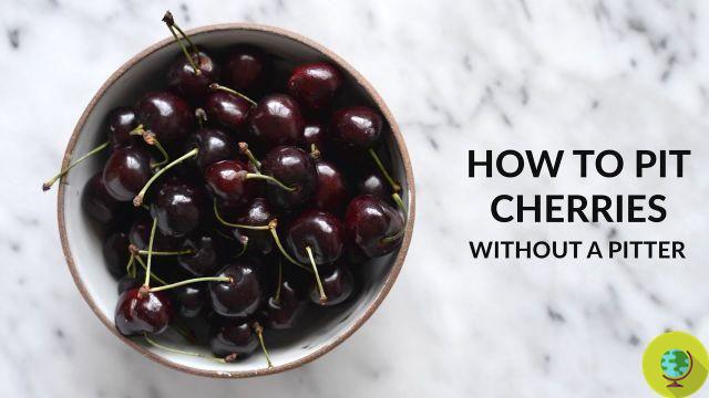 How to pit lots of cherries in a few steps (VIDEO)
