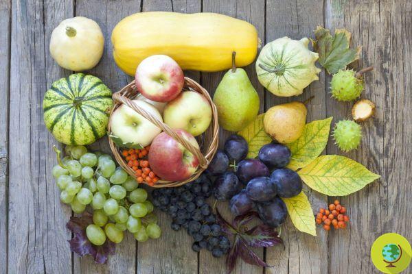 Dietas com pouco carboidrato e sem açúcar: você nunca deve parar de comer frutas, de acordo com a nutricionista