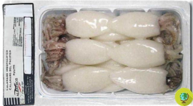 Squid with heavy metals beyond the limits withdrawn from supermarkets