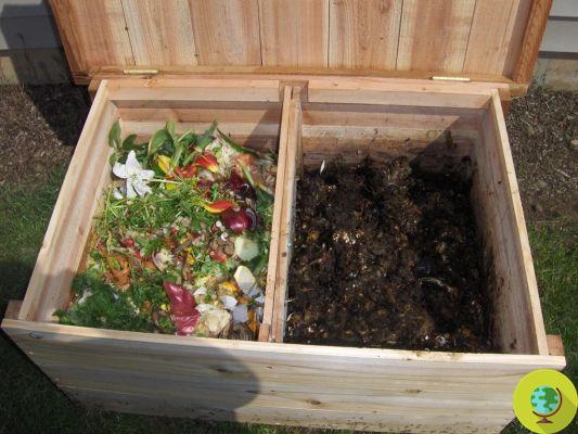 Compost à faire soi-même : calendrier et applications