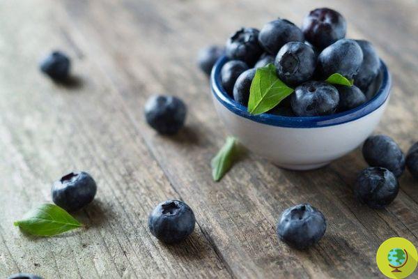 If you want a flat stomach, this is the fruit you should eat every morning