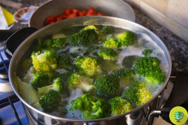 Broccoli: properties and everything you need to know to enhance its benefits