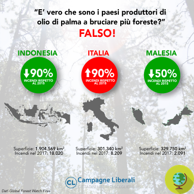 El engaño del aceite de palma 'sostenible' que destruye los bosques de Indonesia
