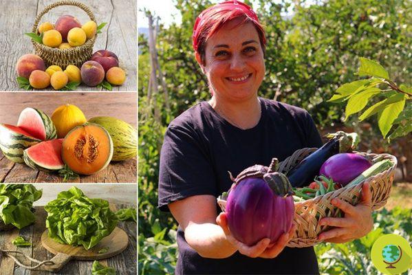 How to best preserve fruit and vegetables in the summer