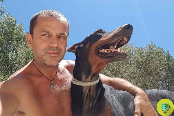 The story of Takis, the man who turned his life upside down to take care of thousands of stray dogs and cats in Greece