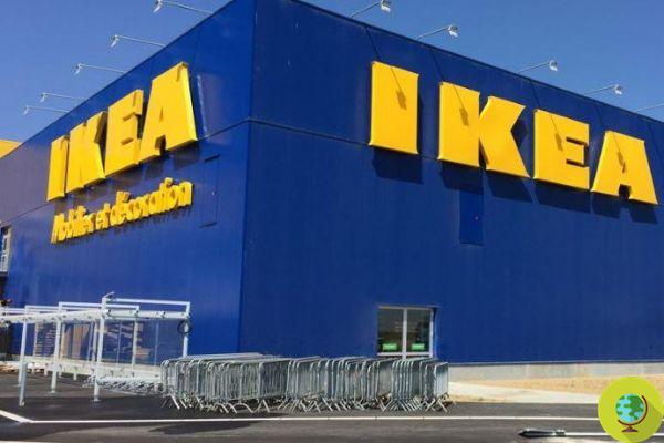 Ikea dit adieu au plastique : d'ici 2020 uniquement des produits réutilisables et recyclables