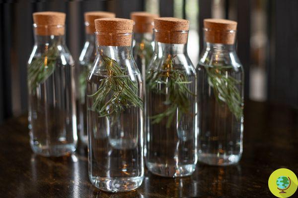 Rosemary water: if you have a stuffy nose or a cold, this is the easiest remedy you should try right away