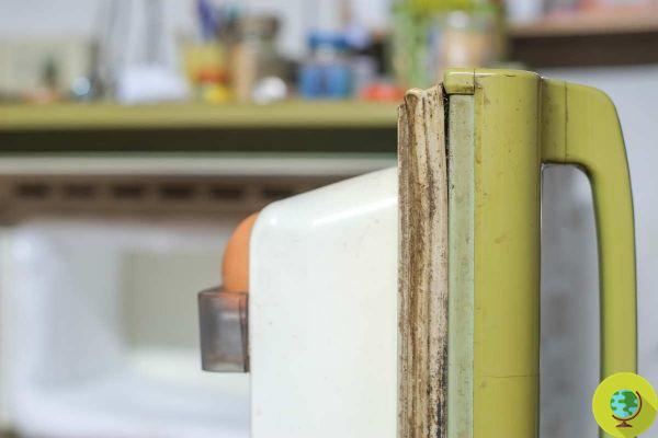 Comment nettoyer les joints du réfrigérateur : trucs, astuces et pourquoi vous devriez le faire plus souvent