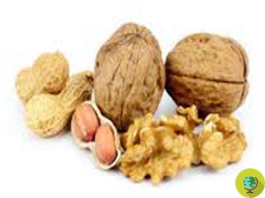 Nozes e amendoins: meio punhado por dia para reduzir o risco de ficar doente