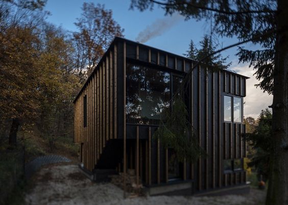 Cabana de madeira na floresta húngara construída por um fotógrafo em apenas dois dias