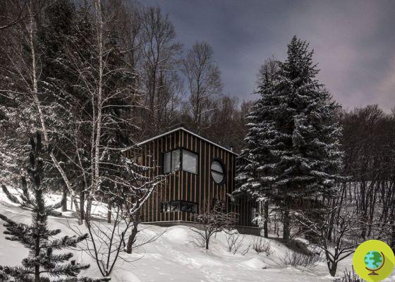 Log cabin in the Hungarian forest built by a photographer in just two days