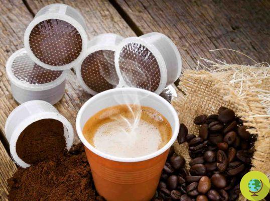 Café: novo estudo confirma o efeito colateral que todos temiam das infames cápsulas (além do ambiental)